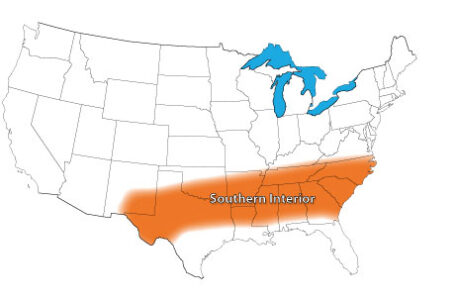 What to Plant Now: March in the Southern Interior Gardening Region Image